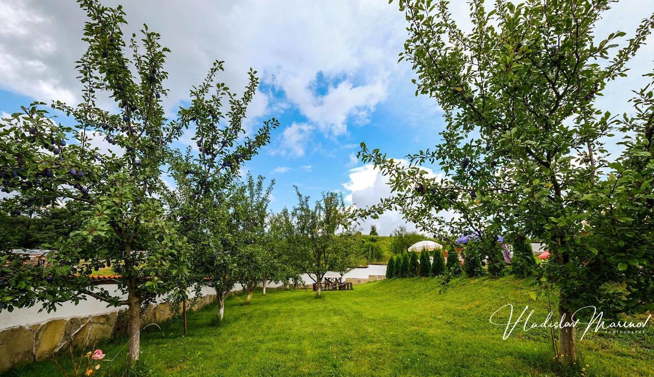 Bachvarovi Villas Trjavna Exteriör bild
